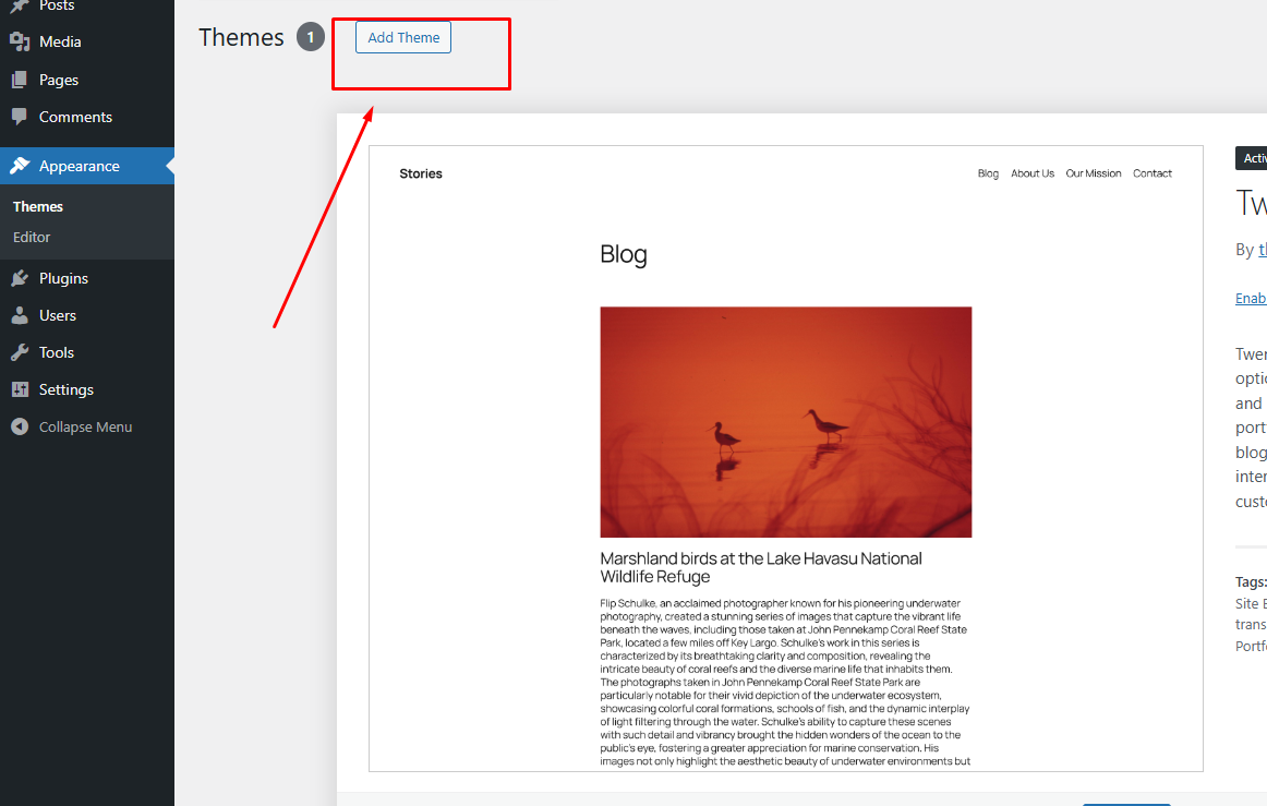 WordPress নতুন থিম যোগ করুন